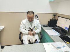 -安安宠医·臻爱宠物医院·宠保定点(营门口路分院)