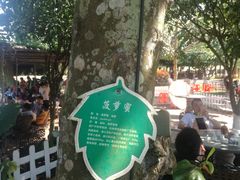 -侯臣咖啡文化村