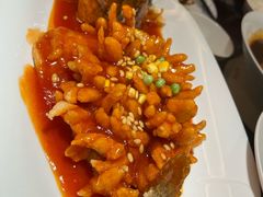 古法传承松鼠鱼-庭院江南菜•烤鸭•非遗传承(上地•清河店)