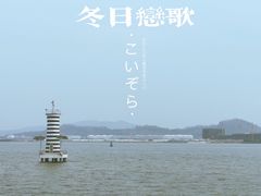 -海鸥岛