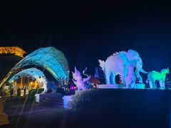 -清迈夜间动物园