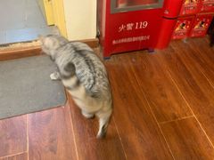 -H立方实景剧情密室(天河旗舰店)