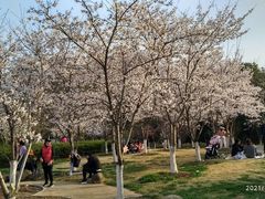 -堤角公园