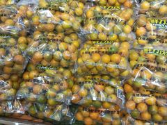 金桔-鲜力达果品批发直销(青山店)
