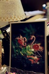 -北京七彩云南翡翠珠宝旗舰店(月坛店)