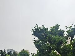 -上海虹桥宾馆味翠餐厅