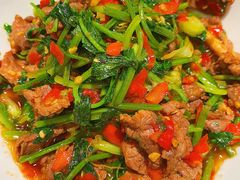 香菜炒牛肉-壹盏灯(蚂蚁工房店)