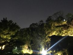 -金鸡山公园