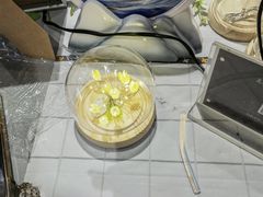 -奔驰波士福达(石景山店)