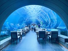 -涛·海底餐厅·美人鱼·自助餐·海底隧道(三亚海棠湾洲际度假酒店)