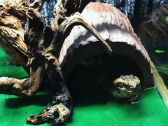 -昆明大悦城未来动物城(螺蛳湾中心店)