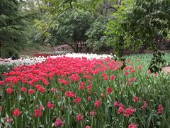 -石家庄市植物园
