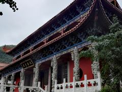 -蔡伦竹海