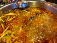 -大理.老字号渝记酸萝卜乌鱼(古城总店)
