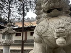-兴教寺