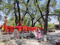 -大槐树寻根祭祖园