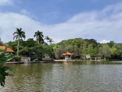 -深圳仙湖植物园