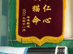 -半岛宠物医院24小时(科华中路店)