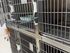 -派美特宠物医院·核磁CT·骨科肿瘤·疑难转诊(沈农禾丰店)