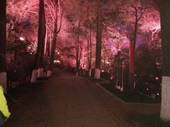 -龟山风景区-龟山电视塔