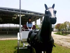 -松声马术俱乐部