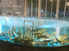 -耕渔小院·湖南鱼鲜(望城店)