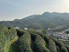 -龙井壹号·茶缘山景宴(龙井村店)