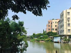 -小洲村