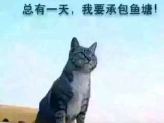 -老杨砂锅鱼庄