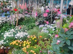 -云南省昆明市正义路步行街(三市街)