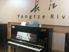 -柏斯琴行(汾阳店)
