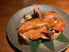 金吉鱼-桐寿司Sushi Tong