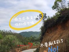 -红山村