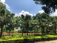 -风云岭森林公园