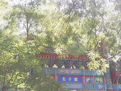 -北京国子监胡同