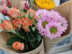 -十六蒲(桂林路店)