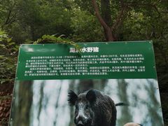 -湖洞水自然风景区