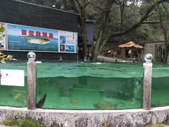 -天怡·鱼工厂(梅溪湖店)