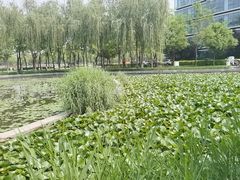 -廊坊文化艺术中心