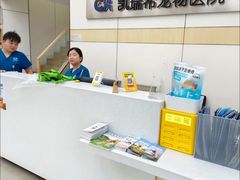 -凯瑞希宠物医院·狂犬免疫·微创·皮肤科