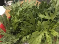 茼蒿-黔庄 · 贵州牛羊粉