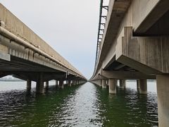 -丁香湖公园