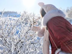 -塞罕坝国家级自然保护区