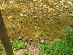 -吃饭皇帝大·土家民族菜(武陵源店)