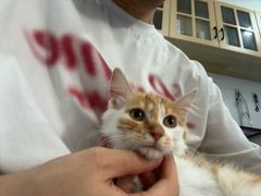 -天使宠物医院·犬猫分诊(彩虹店)