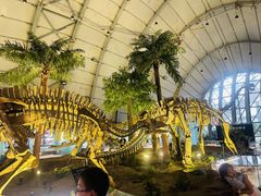 -辽宁古生物博物馆