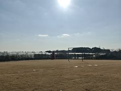 -美家乐农庄·露营·团建(大治路店)