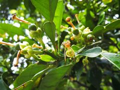 -白塘生态植物园