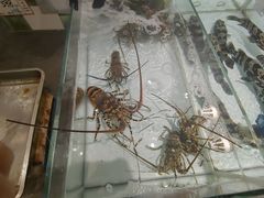 -万龙洲海鲜(大兴绿地缤纷城店)