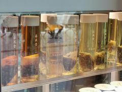 -春水堂人文茶馆(西九龙站店)